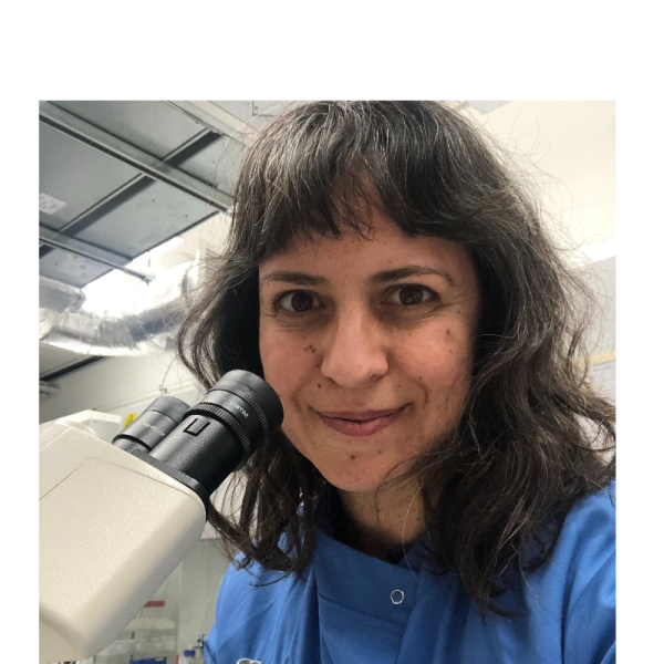 Dr Astero  Klampatsa